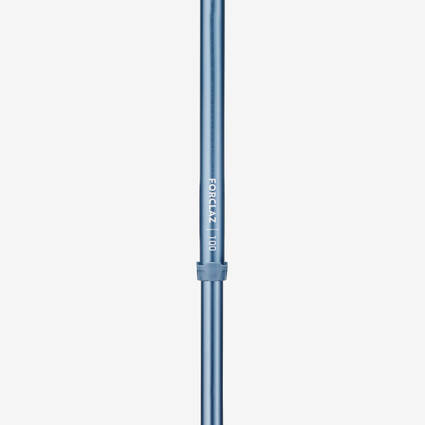 Rent Trek Pole