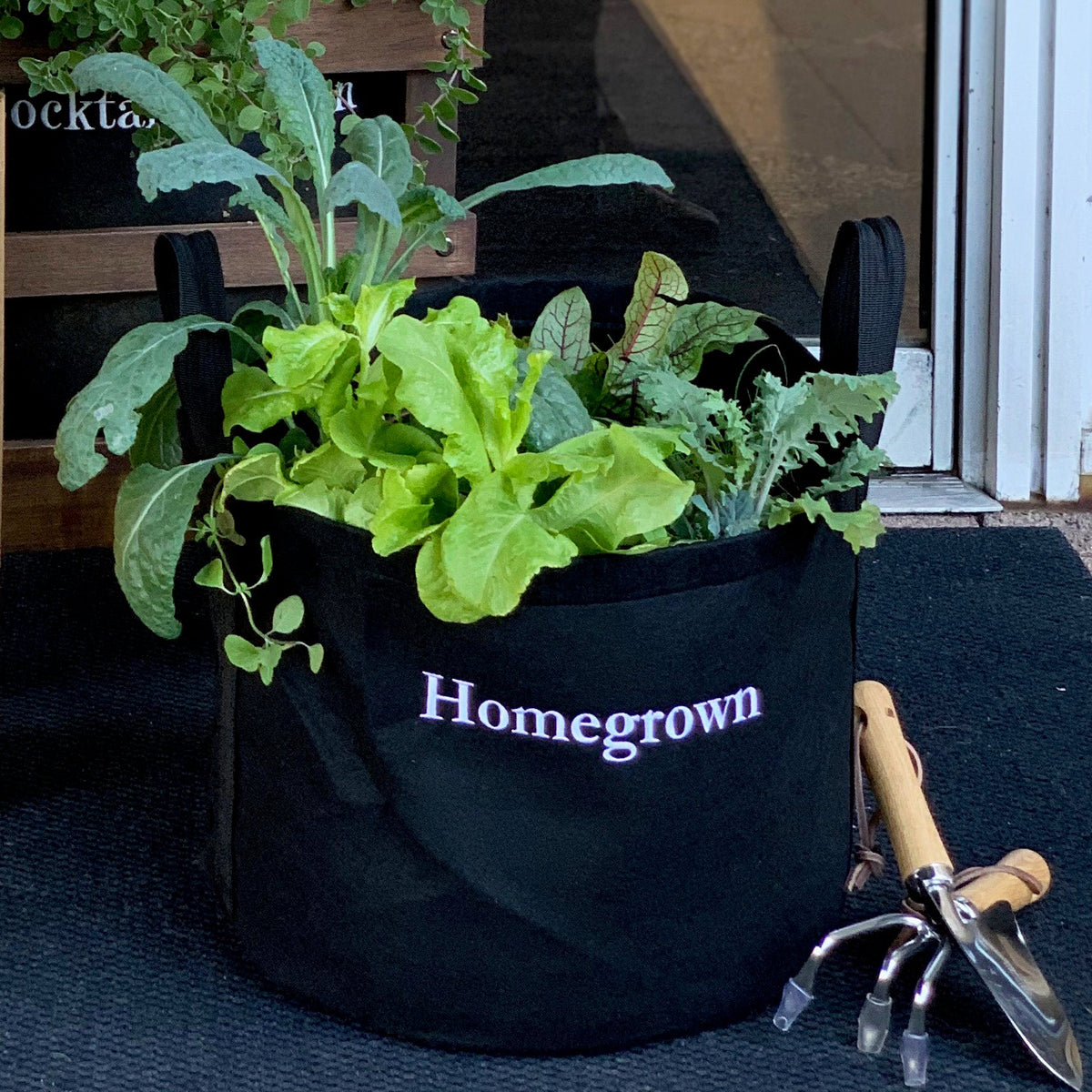 Plants - Summer Season Package Gardening Equipment on Rent - Rentux