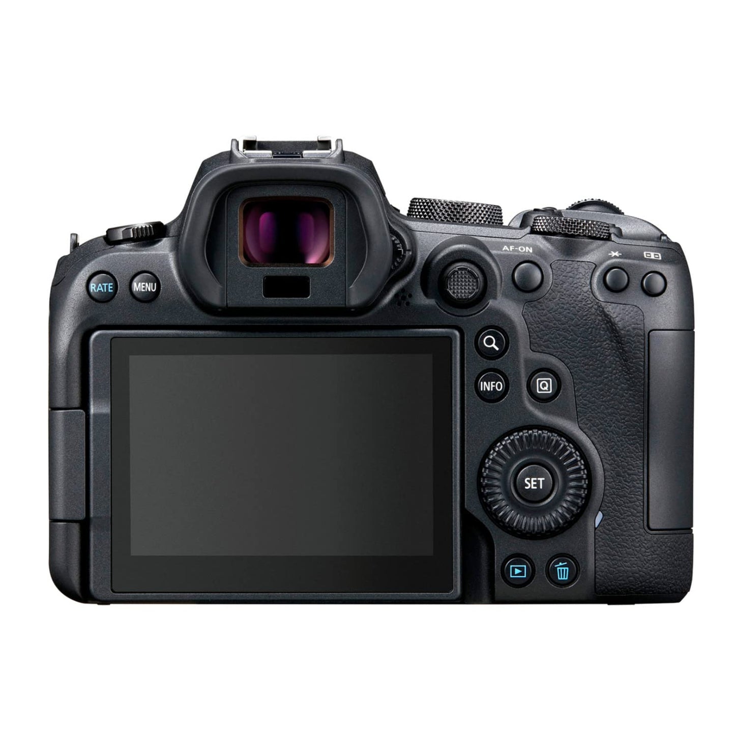 Rent Canon EOS R6 Mirrorless Camera with Mount Adapter (Body Only)