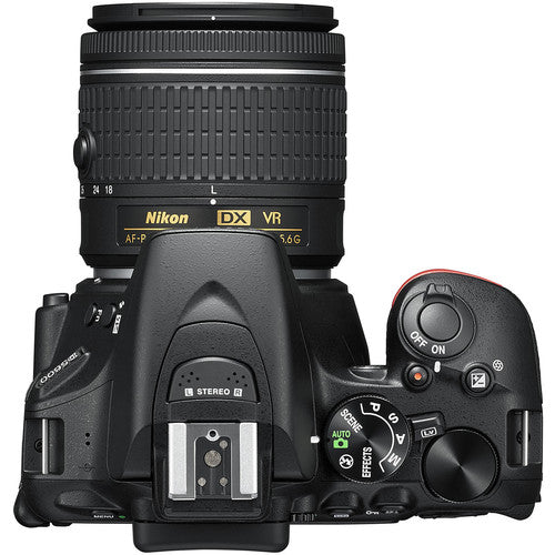 Nikon D5600 on Rent