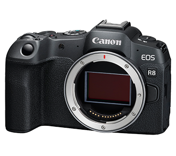 Rent Canon R8 Mirrorless Camera