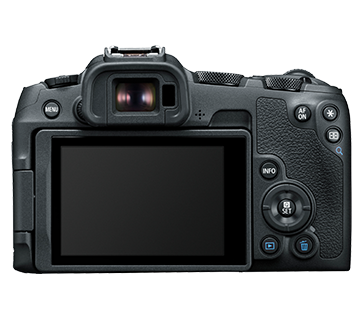 Rent Canon R8 Mirrorless Camera
