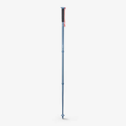 Rent Trek Pole