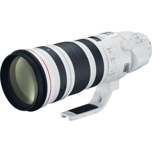 Canon EF 200-400mm f/4L IS USM Extender 1.4x rental product image
