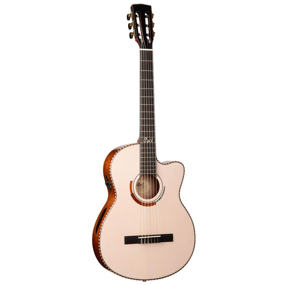 Semi Acoustic Guitar Instrument on Rent - Rentux