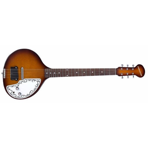 Electric Sitar Instrument on Rent - Rentux