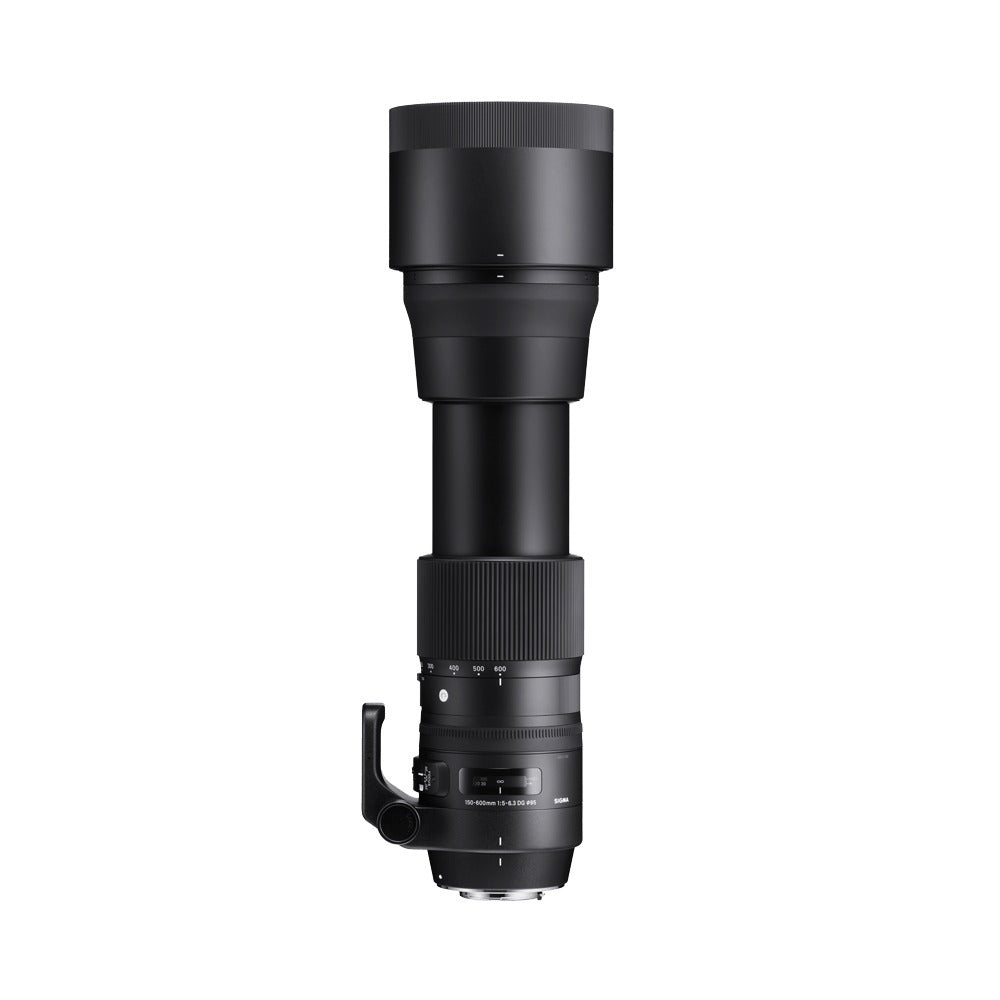 Sigma 150-600mm f/5-6.3 DG OS HSM C for Canon Lens on Rent
