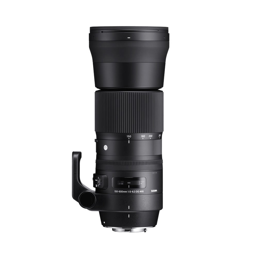 Sigma 150-600mm f/5-6.3 DG OS HSM C for Canon Lens on Rent