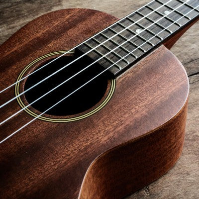 Ukulele Instrument on Rent - Rentux