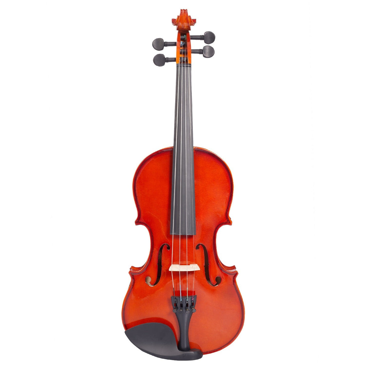 Acoustic Violin Instrument on Rent - Rentux
